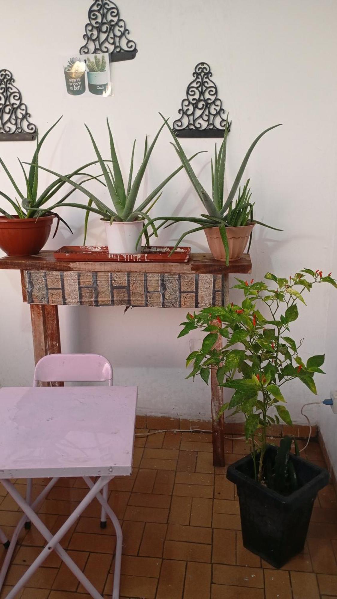 Lindo Apto Central, Quase Ao Lado Do Nacional -ms Apartamento *